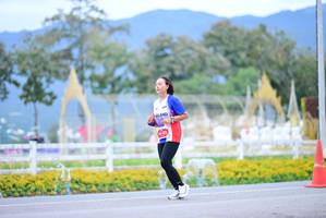 BIB: 
                            <button type="button" onclick="openModal(27835132)" class="btn btn-primary btn-sm float-right btn-popup" data-toggle="modal" data-target=".modal-high-quality">
                        <i class="fas fa-shopping-cart"></i> Add to Cart
                    </button>
                                            <button type="button" onclick="isThisMe(27835132, true)" class="btn btn-success btn-sm float-right btn-popup btn-isme hidden" data-toggle="tooltip" data-placement="bottom" title="นี่คือรูปของคุณใช่ไหม คลิกที่นี่เพื่อเอาเข้าอัลบั้ม">
                        <i class="fas fa-plus"></i> Add to album
                    </button>
                    <button type="button" onclick="isThisMe(27835132, false)" class="btn btn-warning btn-sm float-right btn-popup btn-isnotme hidden">
                        <i class="fas fa-ban"></i> Remove from album
                    </button>